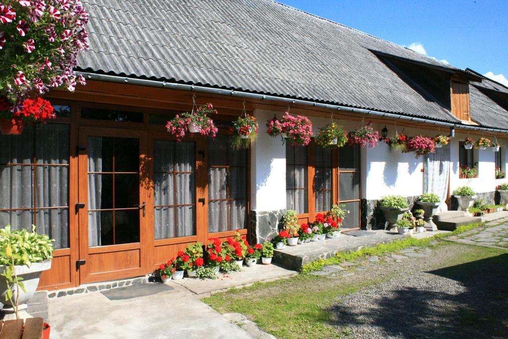 Hotel Ileana Sapanta Extérieur photo