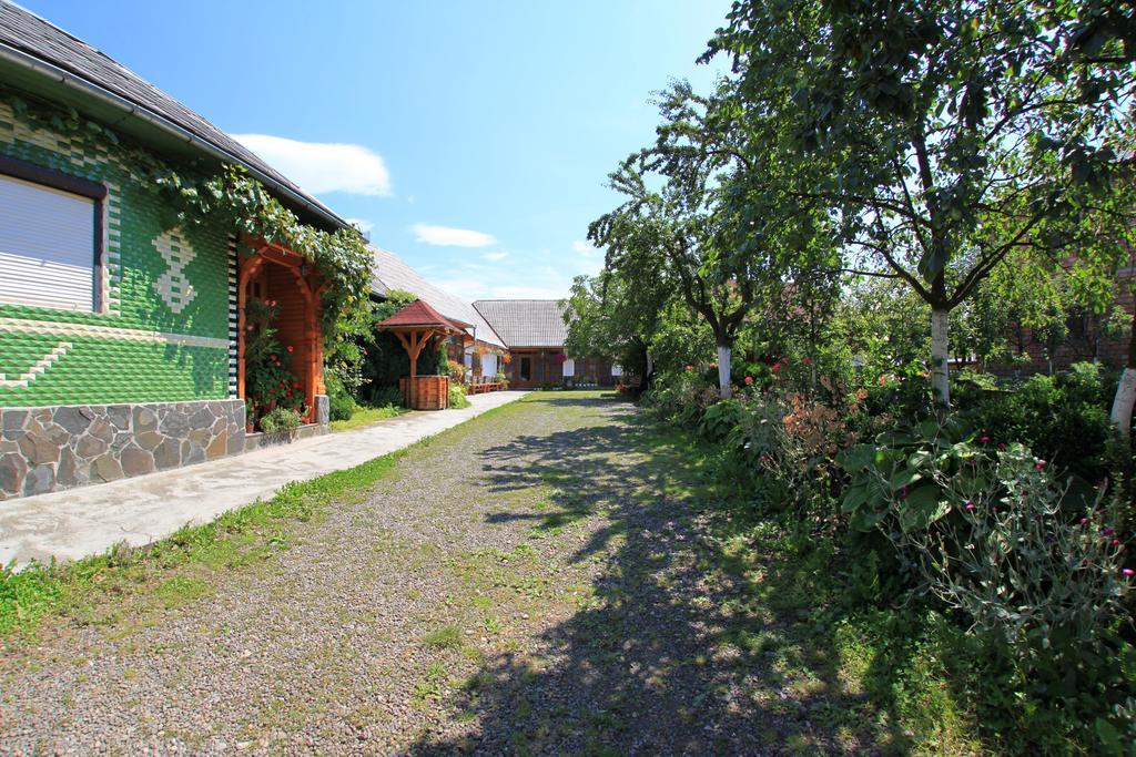 Hotel Ileana Sapanta Extérieur photo