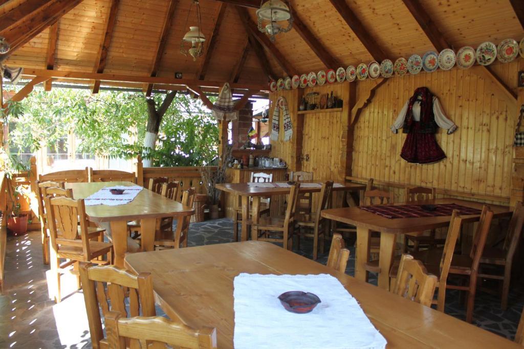 Hotel Ileana Sapanta Extérieur photo