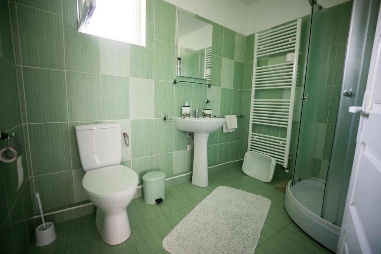Hotel Ileana Sapanta Extérieur photo